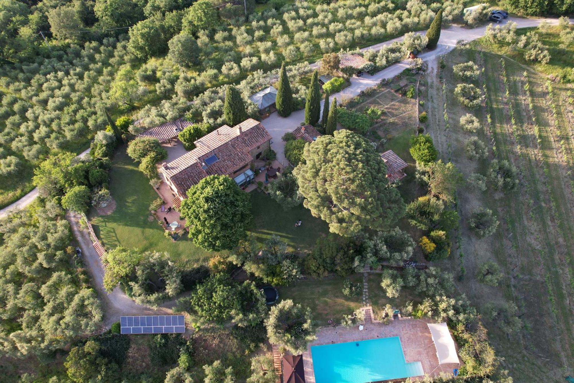 Вилла Fontanaro Farm And Culinary School Пачиано Экстерьер фото